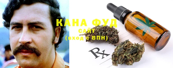 мдпв Артём