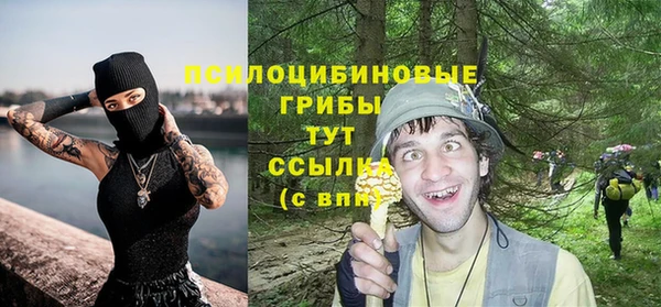 сатива Навашино